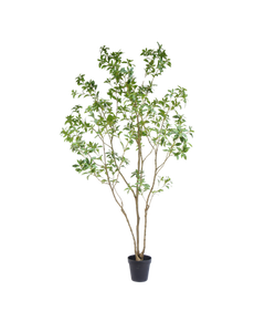 Pieris japonica tree 240cm kunstboom