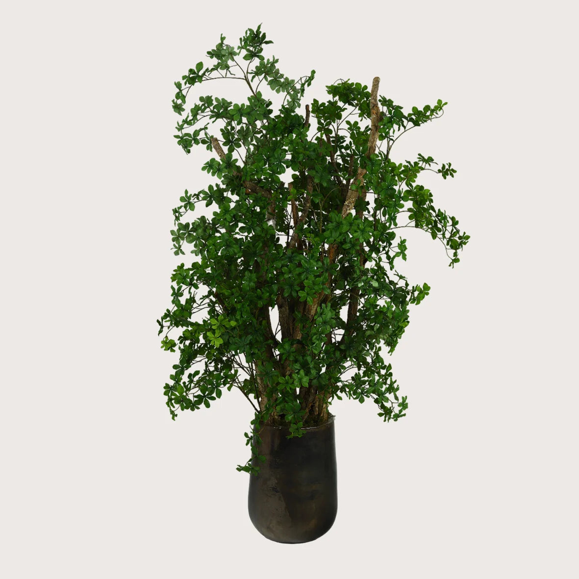 Pot Bep Metaalglans - M